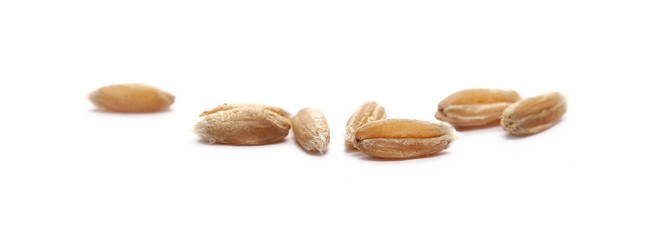 Spelt grains, heap isolated on white background, macro