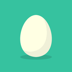 Egg. Egg in flat design with shadow on green background. Isolated Egg on green background