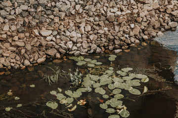 Stony coast of natural reservoir