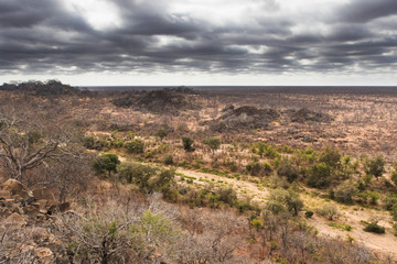 Obraz premium Kruger Viewpoint