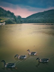 Hidden Lake in Istanbul