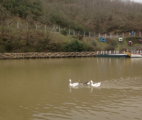 Hidden Lake in Istanbul
