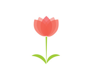 flat icon on white background tulip blooms . 8 March . Women's spring day.