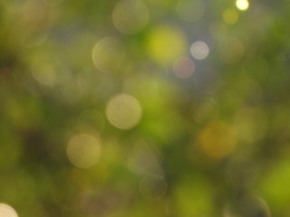 Obraz premium niewyraźne tło światła i bokeh.