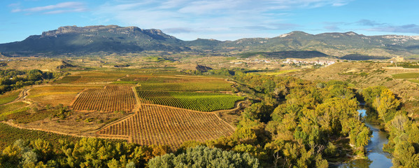 Paysage de vignes à La Rioja, Espagne
