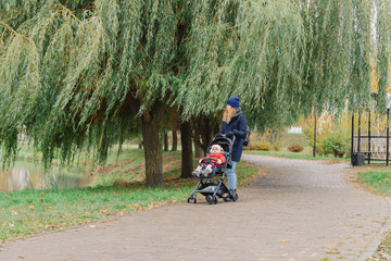 A woman walks in the park with a stroller and a small child.