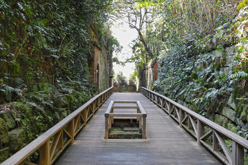 Obraz premium 【横須賀 観光名所】無人島・猿島