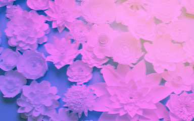 White paper flowers on white background. Floral