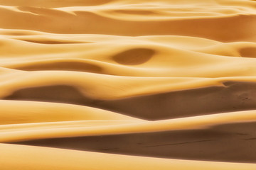 Fototapeta na wymiar Dunes Tele Yellow fragment