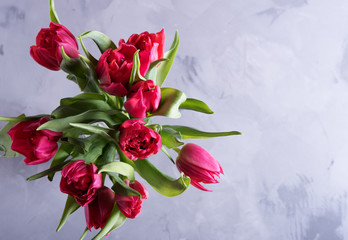 Fototapeta na wymiar Closeup on beautiful pink tulips