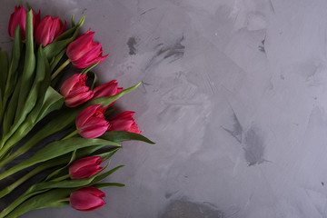 Closeup on beautiful pink tulips