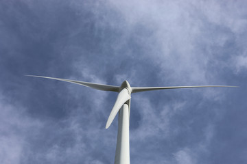 Windrad