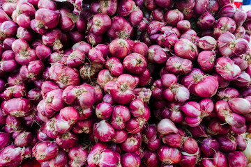 Shallot onion selling at street market