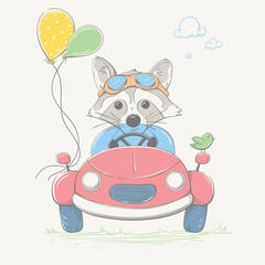 Lovely cute raccoon boy is driving the car. Young racer with the glasses and the color balloons. Summer series of children's card