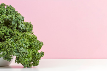 Fresh raw organic green curly kale leaves of kale on white plate with pink background