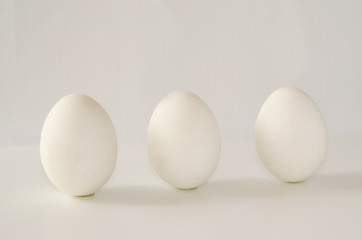 Large white eggs on a white background.