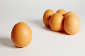 chicken eggs