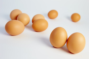 chicken eggs