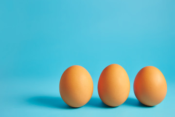 chicken eggs