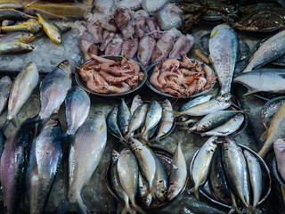 Display of fresh seafood on street market stall in Causeway Bay area of Hong Kong Island - 252828664