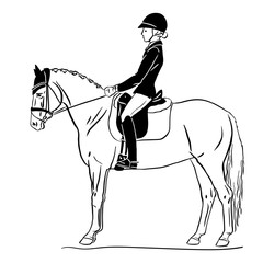 Equestrian, dressage. Vector illustration of a young rider on a sport pony.