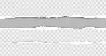 Set of torn squared white horizontal paper are on grey background with space for text. Vector illustration