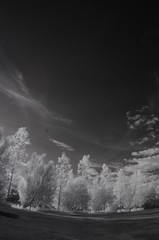 Obraz premium Castle in infra red