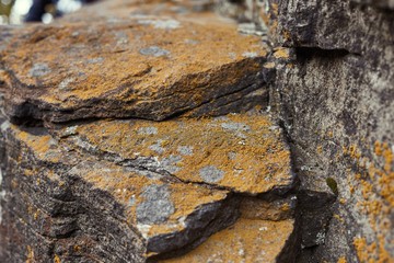 Dark rock boulder