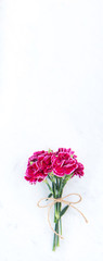 May mothers day photography - Beautiful blooming carnations bunch tied by bow isolated on a bright modern table, copy space, flat lay, top view, blank for text