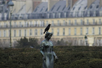Pássaro solitário no Louvre