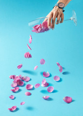 Woman's hand with watch is pouring petals of pink rose from glass on a blue background. Place for text.