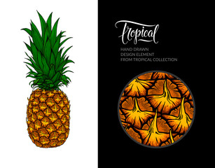Vector pineapple isolated on white background. Tropical hand-drawn exotic fruit illustration for summer poster, pineapple juice packaging, textile design, beach party decoration, beach bar sign