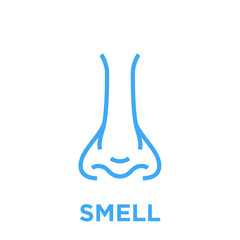 Female nose icon. Smell symbol. Human nasal breath sign. Blue vector graphic line style illustration isolated on white background.