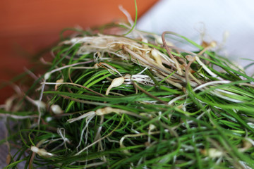 A Pile of Wild Chive For Korean Food.