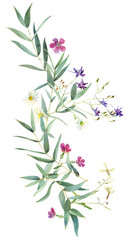 Fototapeta na wymiar Flower arrangement of wild flowers and eucalyptus. For greetings, invitations, weddings, birthday and mother's day