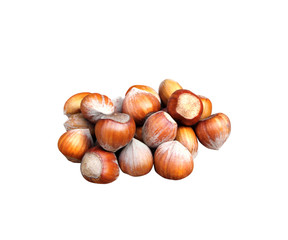 Hazelnuts isolated on white background