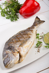 Grilled dorado fish served on a white plate