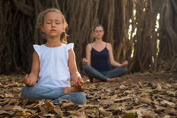 Little child girl with her young mother meditating together under big banyan tree. Mom and daughter...