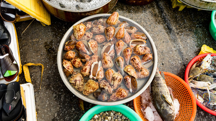 Seafood. Close up of raw mollusk in shells on the vietnamese market.Large  beautiful sea snail