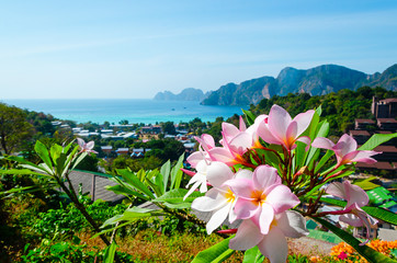 bellissimo punto di vista phi phi don plumeria © Kateryna Kovarzh