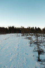 Beautiful Finnish Lapland frozen swamp landscape!