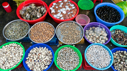 Assortament of fresh seafood. Different types of beautiful shells in the Phu Quoc market in Vietnam  for seafood restaurant