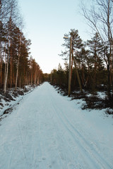 Beautiful Finnish forest path in winter!