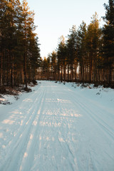 Beautiful Finnish forest path in winter!