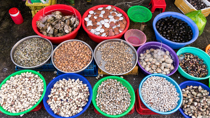 Assortament of fresh seafood. Different types of beautiful shells in the Phu Quoc market in Vietnam  for seafood restaurant