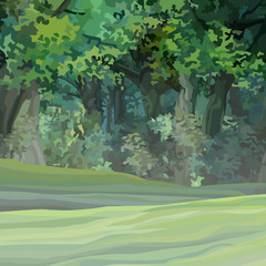 Cartoon green dense summer forest with empty green glade © westamult