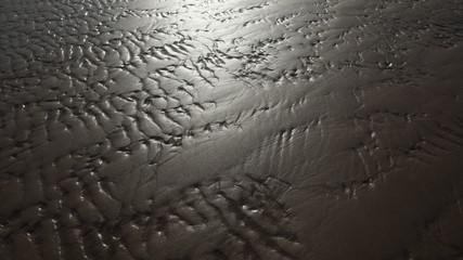 impressions in the sand