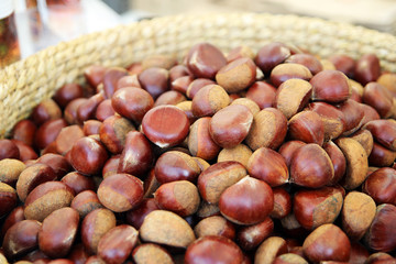 Lots of chestnut