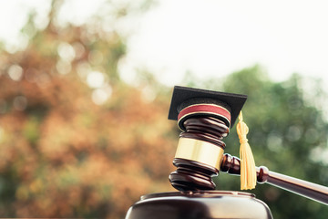 Graduation diploma hat / Judge gavel on school lawyer. Concept of graduate study international...