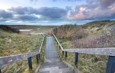 Fototapeta na wymiar wooden stair path to marshes
